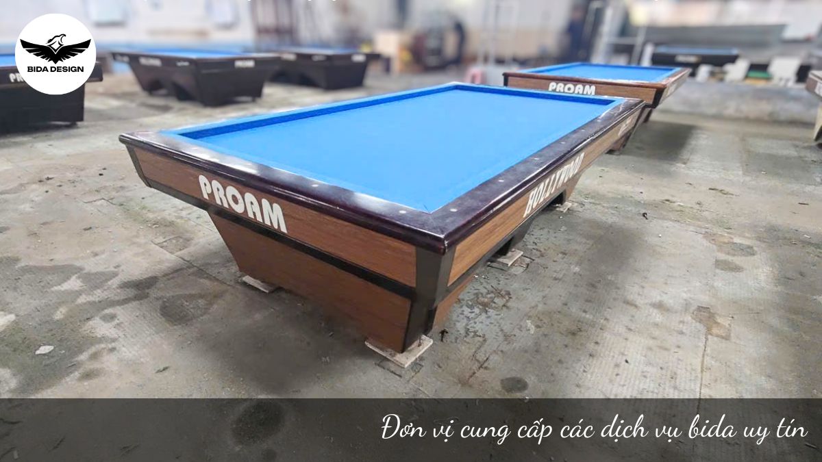 Đơn vị cung cấp các dịch vụ bida uy tín